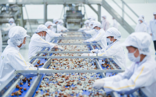 VEPR: Kinh tế Việt Nam sẽ tăng trưởng trên 6%