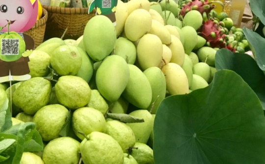 Thị phần trái xoài, ổi và măng cụt Việt Nam tại Nga tăng mạnh