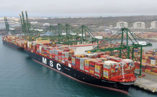 MSC: Thêm tuyến tàu vận chuyển hàng mới từ Việt Nam đi Bờ Đông Hoa Kỳ