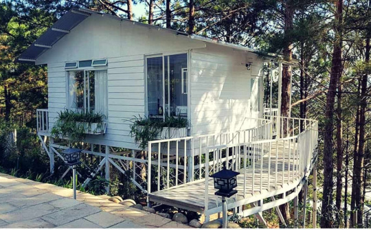 Nâng cao hiệu quả kinh doanh Hostel trong phát triển du lịch Đà Lạt