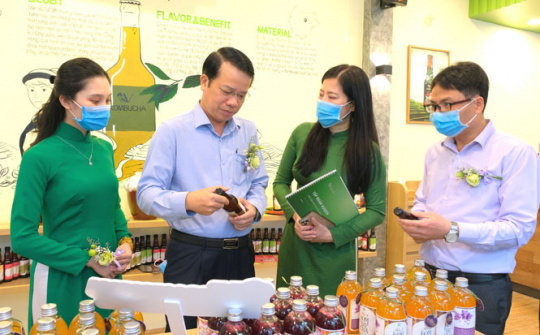 Thái Nguyên ra mắt sản phẩm trà lên men VKombucha