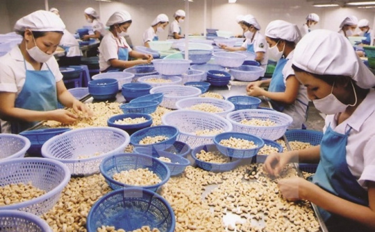 Quý I/2021, xuất khẩu hạt điều của Việt Nam ước đạt 108 nghìn tấn, tăng 13,2% về lượng