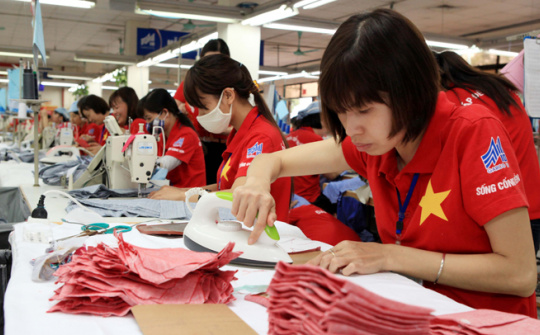 Đáp ứng quy tắc xuất xứ khi xuất khẩu sang EU: Kinh nghiệm từ một doanh nghiệp