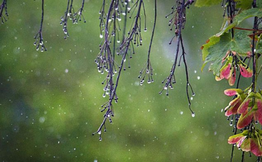 Thời tiết 6-4: Bắc bộ tiếp tục có mưa dông