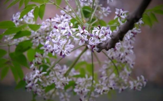 Thời tiết 10-4: Mưa rải rác khắp mọi miền