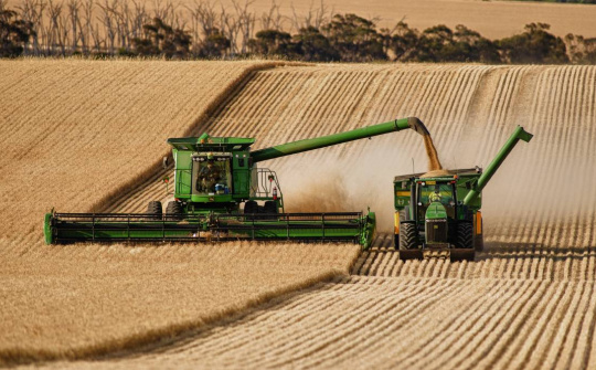 Giá lương thực toàn cầu tăng tháng thứ 10 liên tiếp, chạm mức cao kỷ lục từ năm 2014