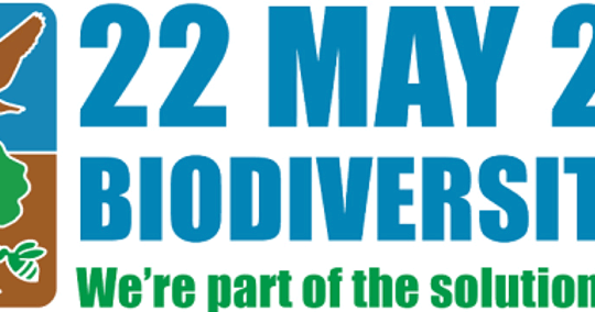 Bộ Công Thương lan tỏa thông điệp chung tay phục hồi hệ sinh thái và bảo tồn đa dạng sinh học