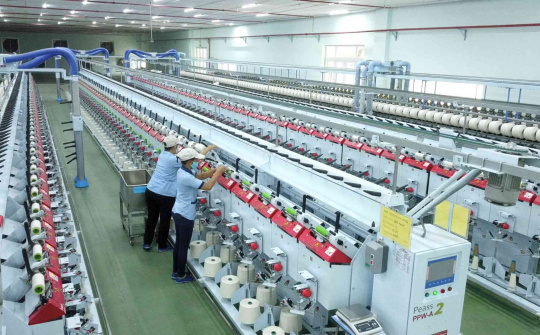 Kim ngạch xuất khẩu tăng nhanh, sợi polyester Việt Nam bị cáo buộc bán phá giá tại Thổ Nhĩ Kỳ