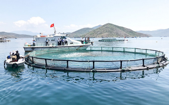 Ứng dụng công nghệ 4.0 trong nuôi trồng thủy sản trên biển