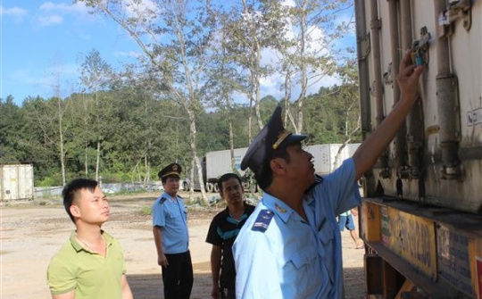 2,5 tỷ USD kim ngạch tái xuất hàng hóa trong quý 1/2021