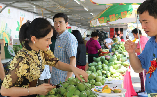 Tiêu thụ nông sản Sơn La qua các sàn thương mại điện tử
