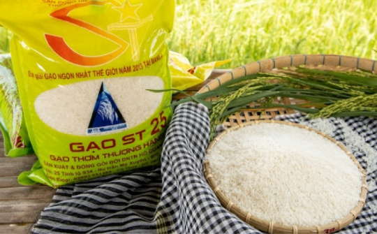 Gạo ST25 bị đăng ký nhãn hiệu ở Úc: Việt Nam triển khai nhiều biện pháp khẩn