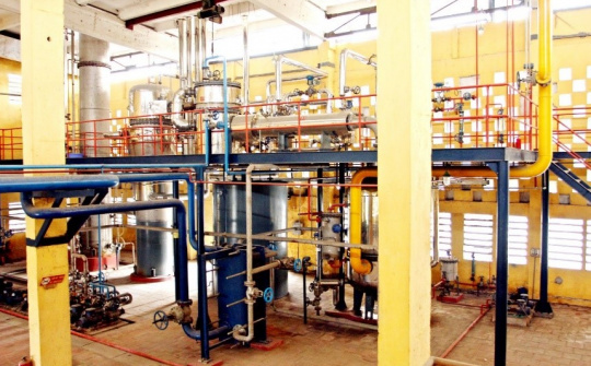 Viện Hóa học Công nghiệp Việt Nam sản xuất keo UF và UMF sử dụng trong ván ép đạt tiêu chuẩn xuất khẩu