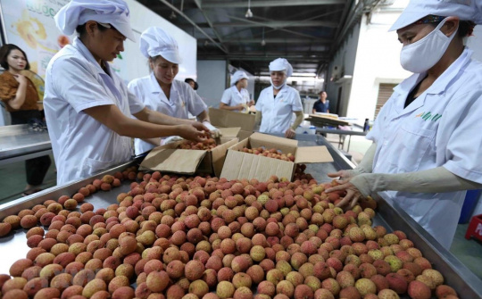 Cơ chế cấp giấy chứng nhận xuất xứ hàng hóa mẫu AJ để hưởng ưu đãi trong AJCEP