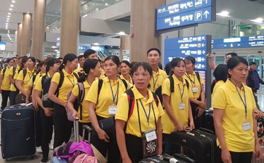 Thực trạng lao động di cư đến trên địa bàn tỉnh Trà Vinh: Trường hợp lao động di cư đến là công nhân và lao động tự do