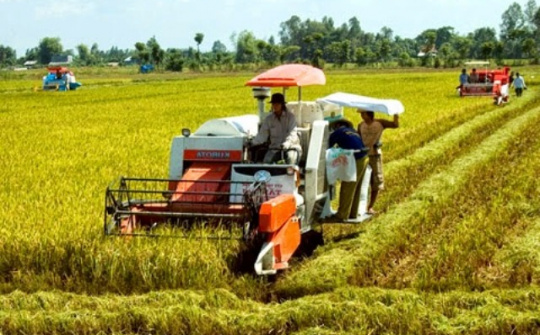 Ứng dụng công nghệ cao trong nông nghiệp
