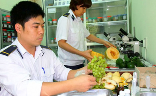 6 trường hợp được miễn phí kiểm dịch thực vật xuất khẩu, nhập khẩu