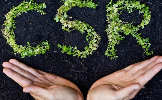 Một số khung pháp lý cho việc lập báo cáo trách nhiệm xã hội