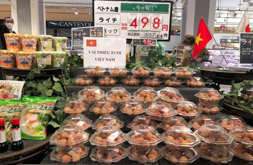 Đa dạng hình thức quảng bá vải thiều Việt Nam tại Nhật Bản