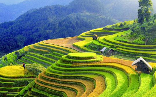 Thực trạng phát triển ngành chế biến nông sản tại khu vực Bắc Trung bộ