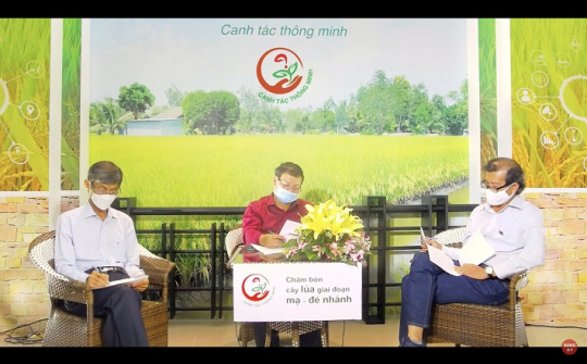 Tư vấn trực tuyến kỹ thuật canh tác cho nông dân trồng lúa vùng ĐBSCL