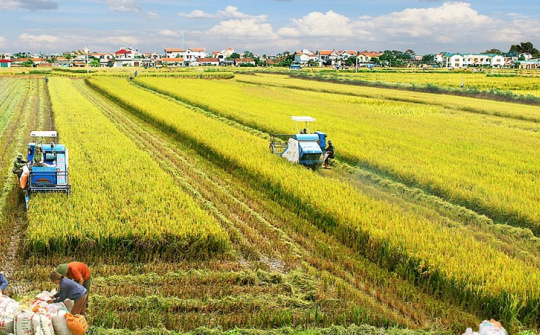Giải bài toán giám sát việc thực hiện quy hoạch liên kết vùng