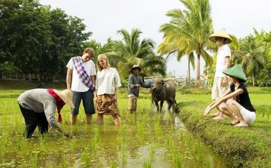 Hỗ trợ cộng đồng tham gia hoạt động du lịch
