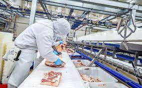 Xây dựng định mức chi phí sản xuất cho các doanh nghiệp chế biến thức ăn chăn nuôi ở miền Bắc