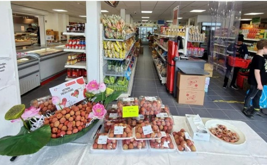 Quảng bá quả vải tươi Việt Nam tại Hà Lan