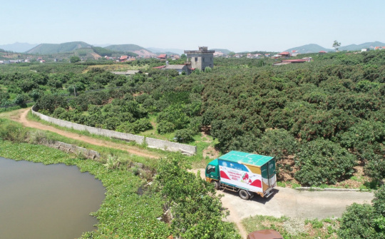 Mô hình thương mại điện tử xuyên biên giới đưa vải thiều Bắc Giang sang EU