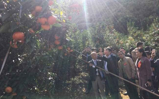 Chuyển dịch cơ cấu vật nuôi cây trồng ở một huyện miền núi