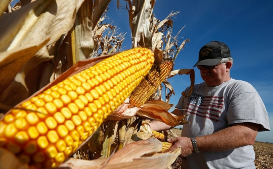 Thị trường nông sản trải qua tuần giao dịch ảm đạm