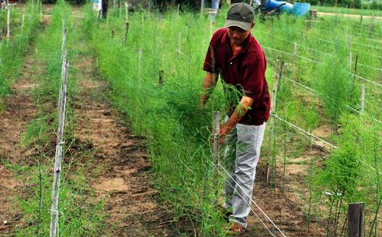 Những mô hình kinh tế hiệu quả ở vùng đồng bào dân tộc thiểu số