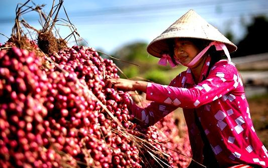 Giải pháp giảm nghèo bền vững trong đồng bào Khmer Sóc Trăng hiện nay