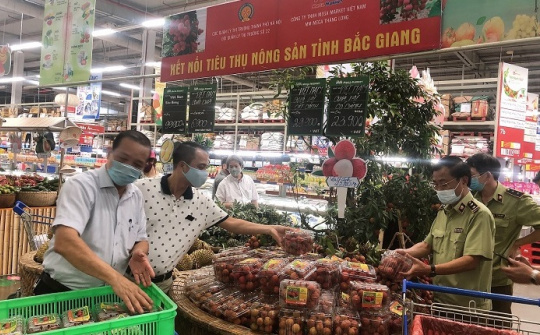 Đội QLTT số 22 Cục QLTT Hà Nội và MM Mega Market Thăng Long chung tay hỗ trợ tiêu thụ vải thiều Bắc Giang