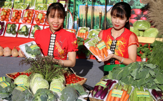 Đánh giá Chương trình mỗi xã một sản phẩm (OCOP) tỉnh Sơn La