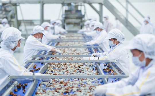 [TÁI CƠ CẤU] Giải pháp phát triển xuất khẩu 6 tháng cuối năm