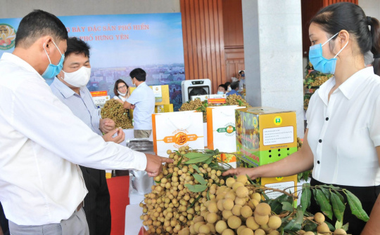 Thúc đẩy giao thương trực tuyến, đưa quả nhãn Việt Nam vào Singapore