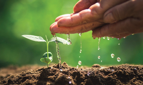 Lực đẩy cho doanh nghiệp tiêu tốn ít năng lượng