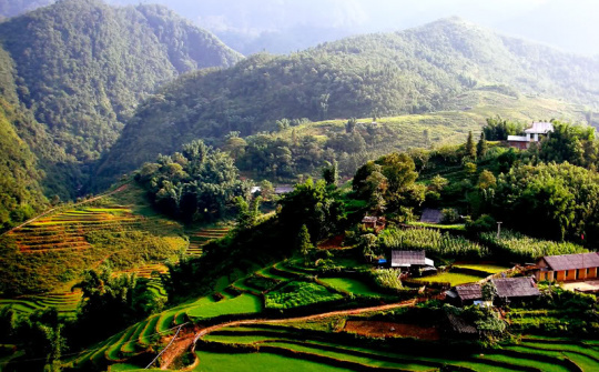 Những vấn đề đặt ra trong xây dựng chuỗi cung ứng - tiêu thụ ở miền núi, hải đảo