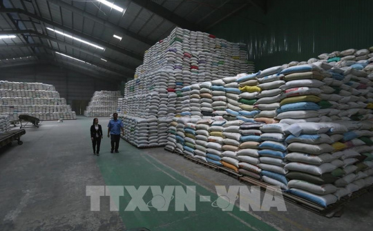 Gạo Việt Nam chính thức liên thông với Sở Giao dịch Hàng hóa Chicago