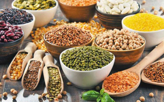 FAO: Thương mại và giá thực phẩm toàn cầu tăng trưởng mạnh mẽ