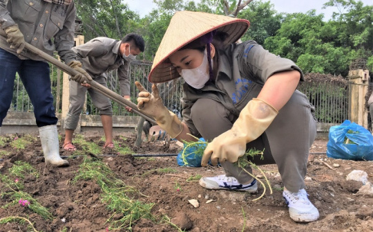 Những con đường hoa rực rỡ sắc mầu ở DAP-Vinachem