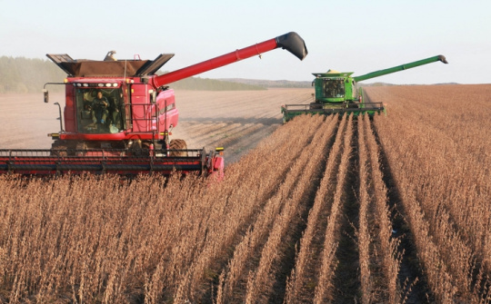 Thị trường nông sản diễn biến trái chiều, Trung Quốc sẽ đẩy mạnh nhập khẩu đậu tương từ Hoa Kỳ