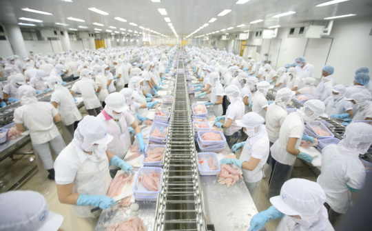 Việt Nam - điểm đến đầu tư hấp dẫn đối với các doanh nghiệp Ấn Độ