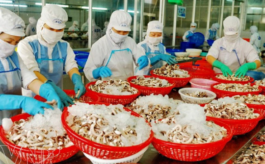 Giá trị xuất nhập khẩu của khối doanh nghiệp trong nước tăng 23,1%