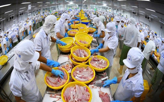Phấn đấu đưa Việt Nam thành trung tâm chế biến thủy sản vào năm 2030