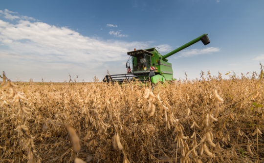 Nhu cầu sử dụng đậu tương toàn cầu có xu hướng giảm trong niên vụ 2021/2022