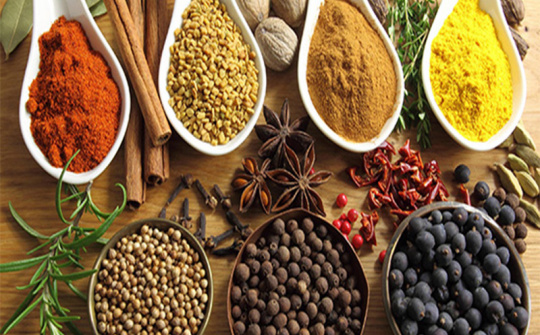 Chuẩn bị diễn ra loạt sự kiện xúc tiến thương mại tìm kiếm thị trường cho nông sản