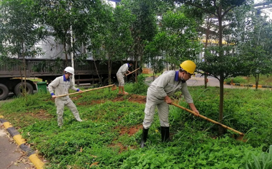 Hiệu quả mô hình sản xuất “3 tại chỗ” của Công ty Nhôm Đắk Nông - TKV